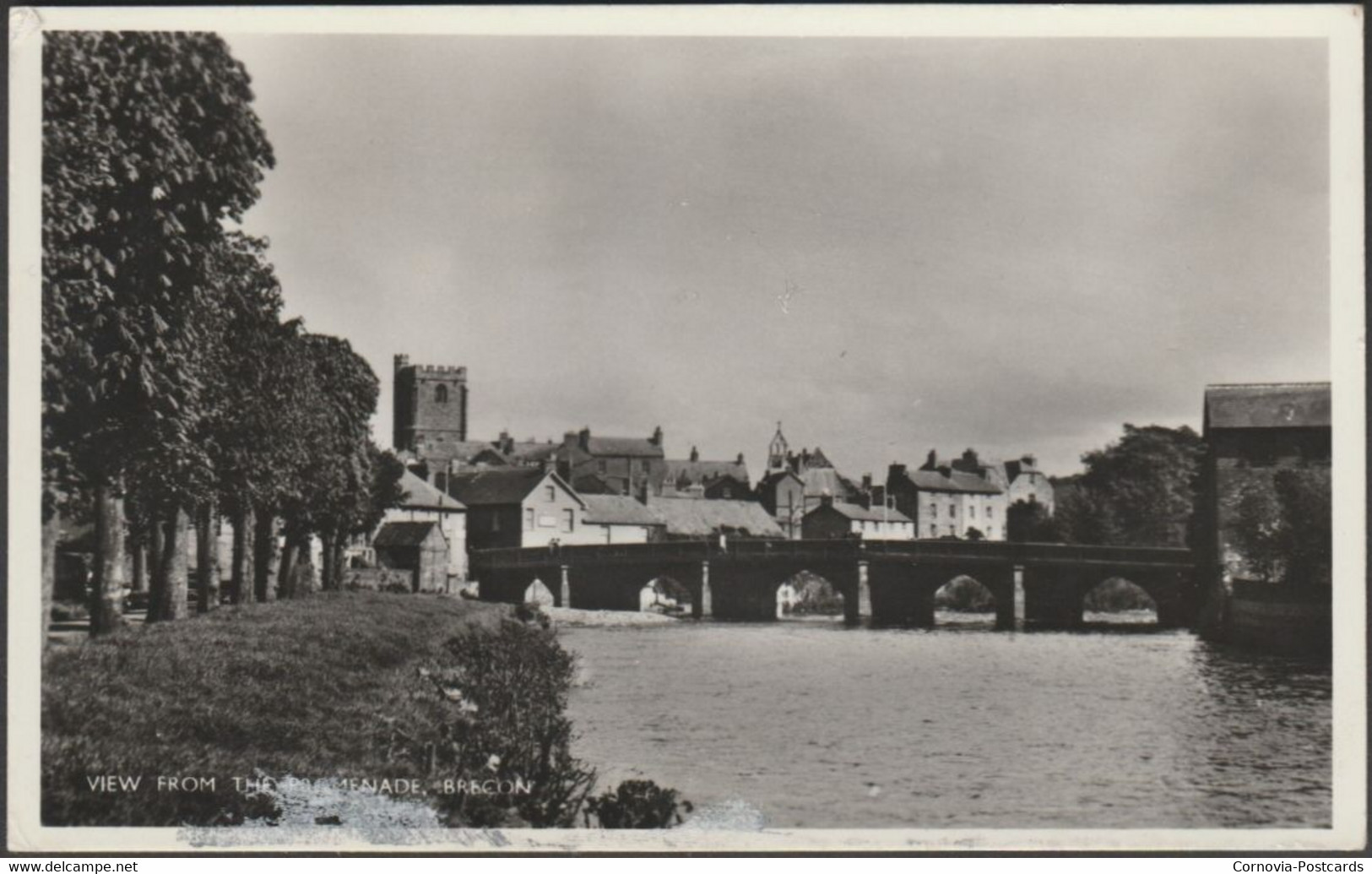 View From The Promenade, Brecon, C.1950 - RP Postcard - Breconshire