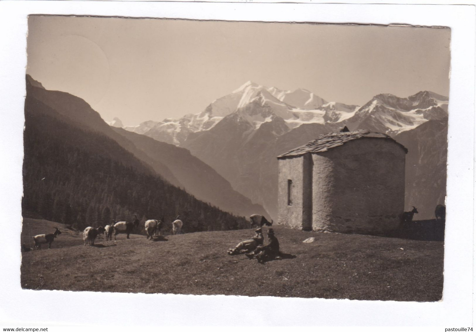 CARTE PHOTO : 14 X 9   -  Hannigalp  Ob  Grächen, Weisshorn - Bieshorn - Barrhörner - Grächen