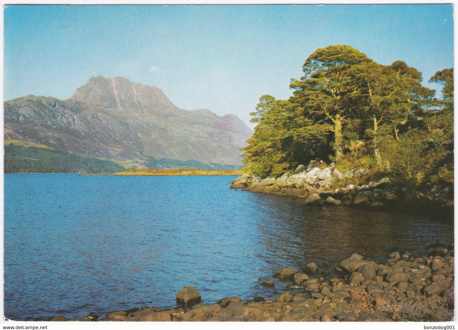 Loch Maree, Wester Ross, Scotland - Ross & Cromarty