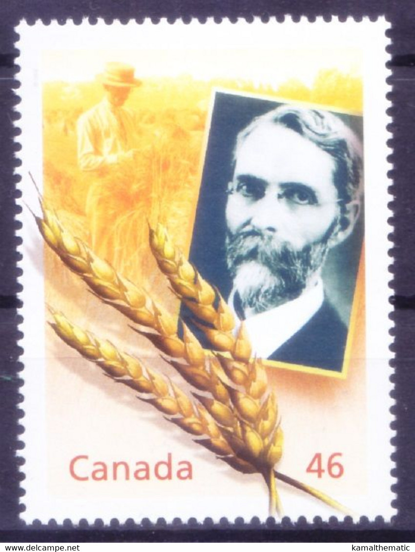 Canada 2000 Mint No Gum, Millennium, Sir Charles Saunders, The Marquis Of Wheat - Agriculture
