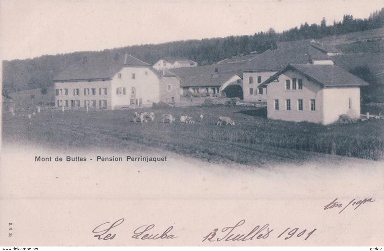 Mont De Buttes NE, Pension Perrinjaquet Et Troupeau De Bétail (12.7.1901) - Buttes 