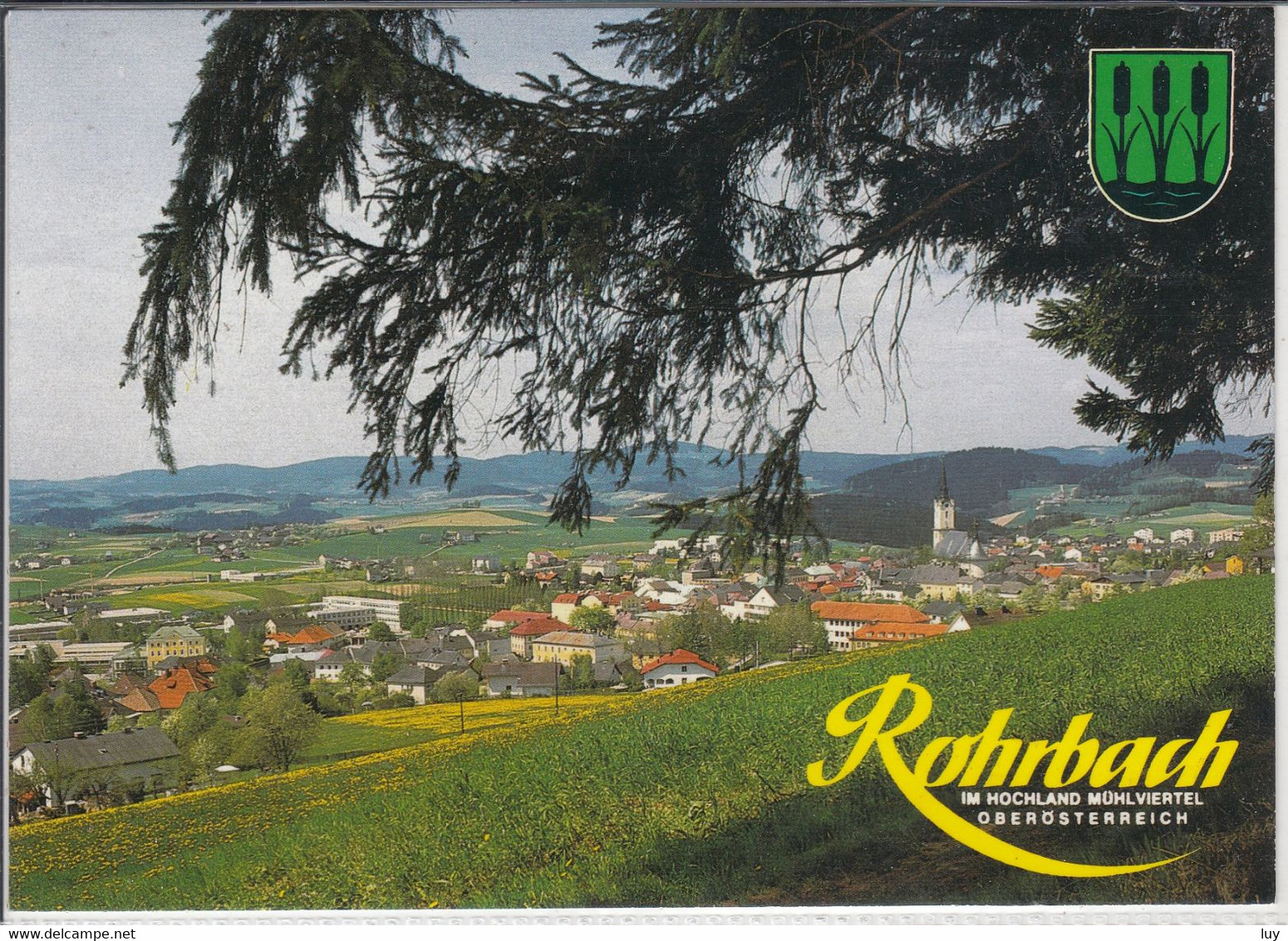 ROHRBACH - Erholungsdorf Im Mühlviertel, Panorama - Rohrbach