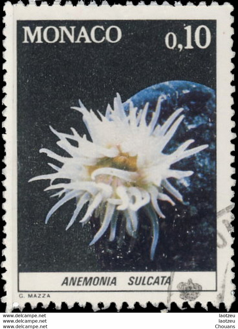 Monaco 1980. ~ YT 1254 - Anemona Sulcata - Gebraucht