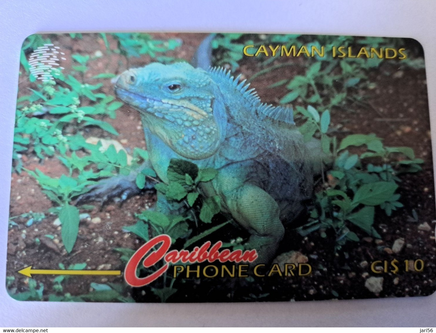 CAYMAN ISLANDS  CI $ 10,-  CAY-13B  CONTROL NR 13CCIB  GRAND CAYMAN LEGUANA      Fine Used Card  ** 12144** - Kaimaninseln (Cayman I.)