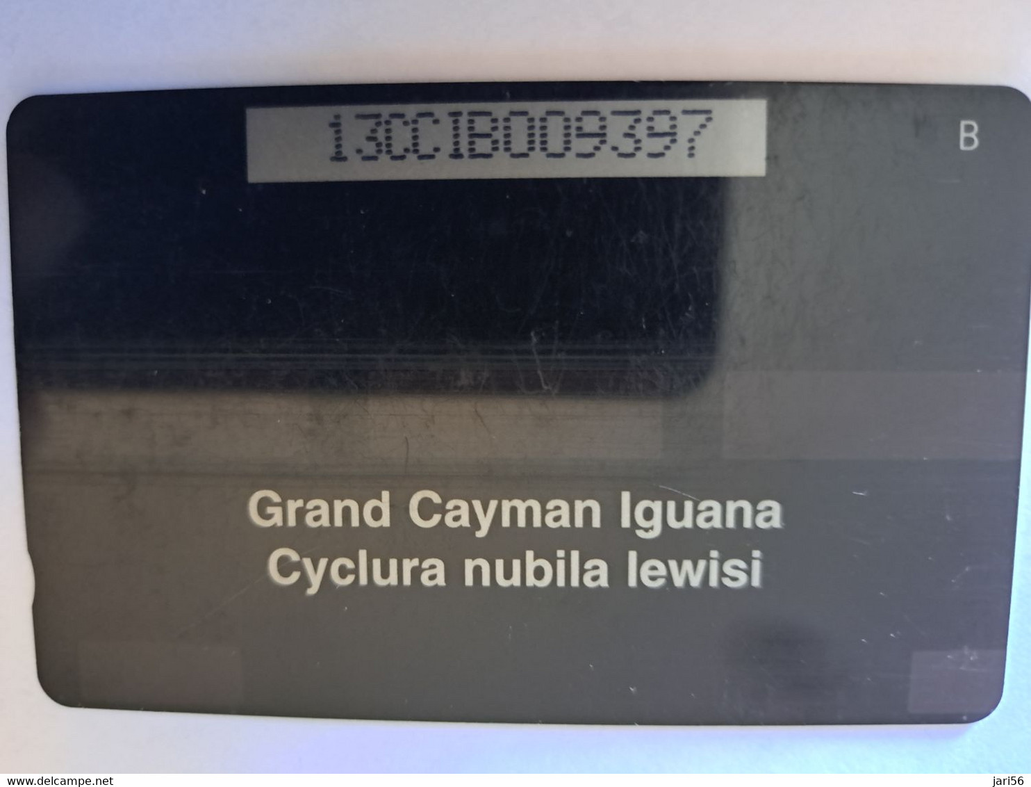 CAYMAN ISLANDS  CI $ 10,-  CAY-13B  CONTROL NR 13CCIB  GRAND CAYMAN LEGUANA      Fine Used Card  ** 12144** - Cayman Islands