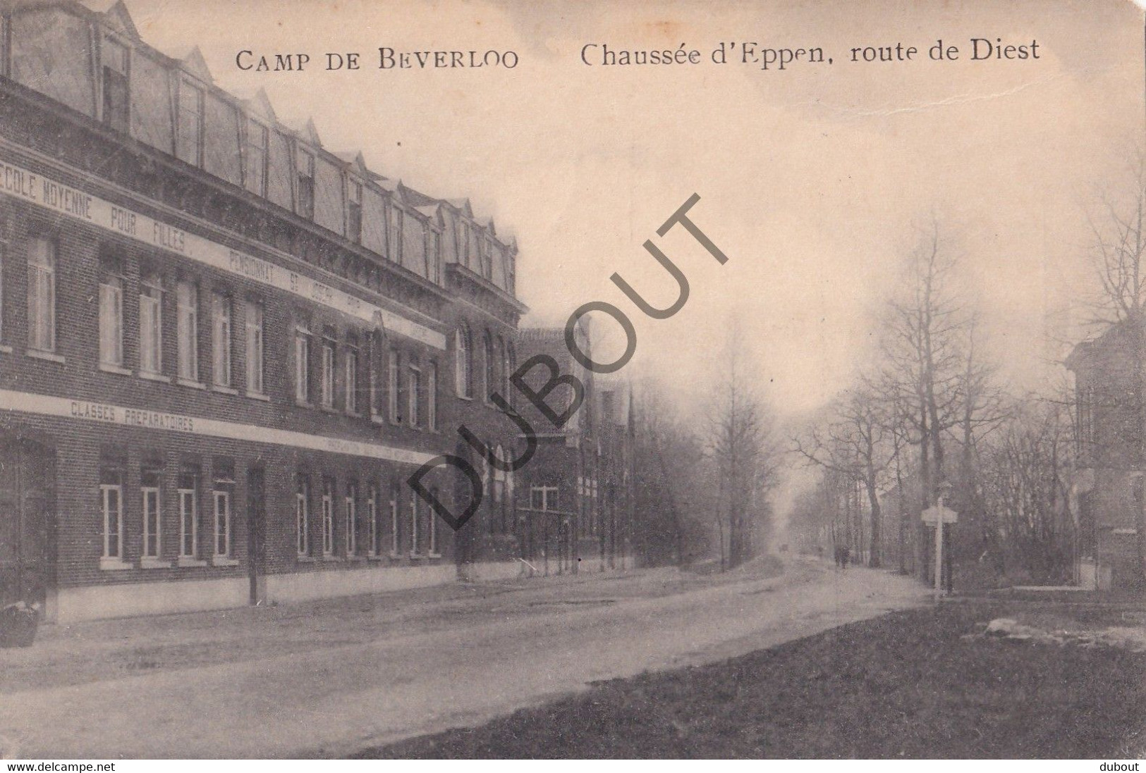 Postkaart/Carte Postale - Leopoldsburg - Camp De Beverloo - Chaussée D'Eppen, Route De Diest (C3702) - Leopoldsburg (Camp De Beverloo)