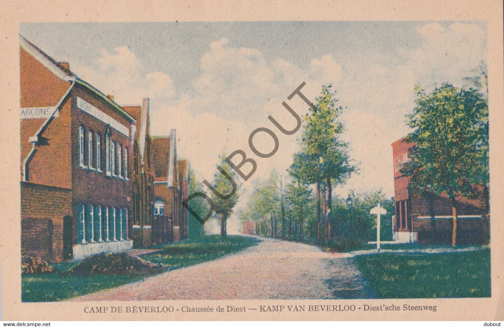 Postkaart/Carte Postale - Leopoldsburg - Camp De Beverloo - Chaussée De Diest (C3684) - Leopoldsburg (Camp De Beverloo)