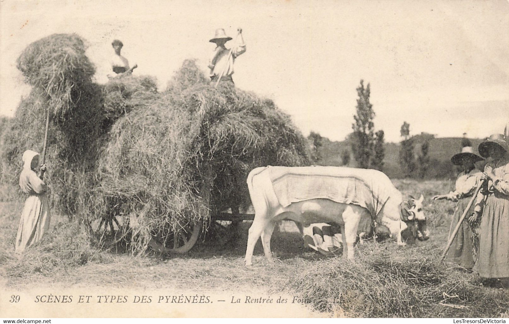 Folklore - Scènes Et Types De Pyrénées - La Rentrée Des Foins - Boeuf - L.L. -  Carte Postale Ancienne - Bekende Personen