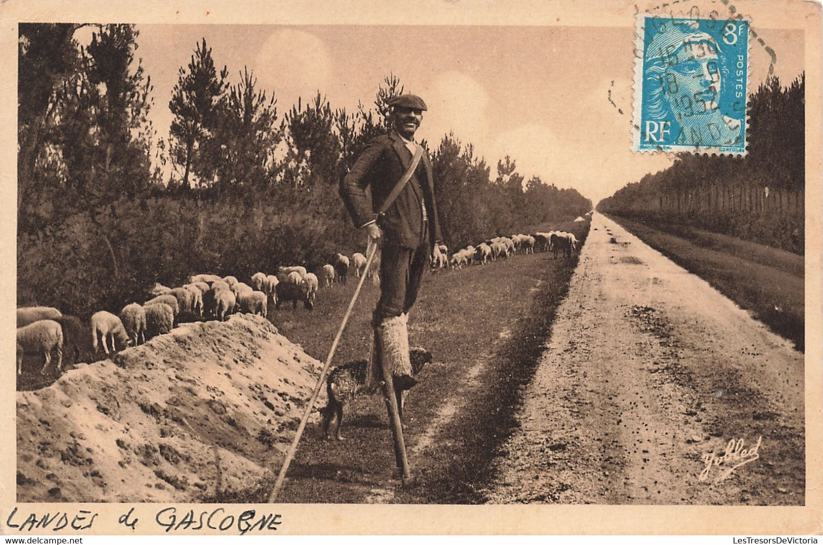 Folklore - Landes De Gascogne - Helio Marcel Delbay - Echassier Berger - Mouton -   Carte Postale Ancienne - Personnages