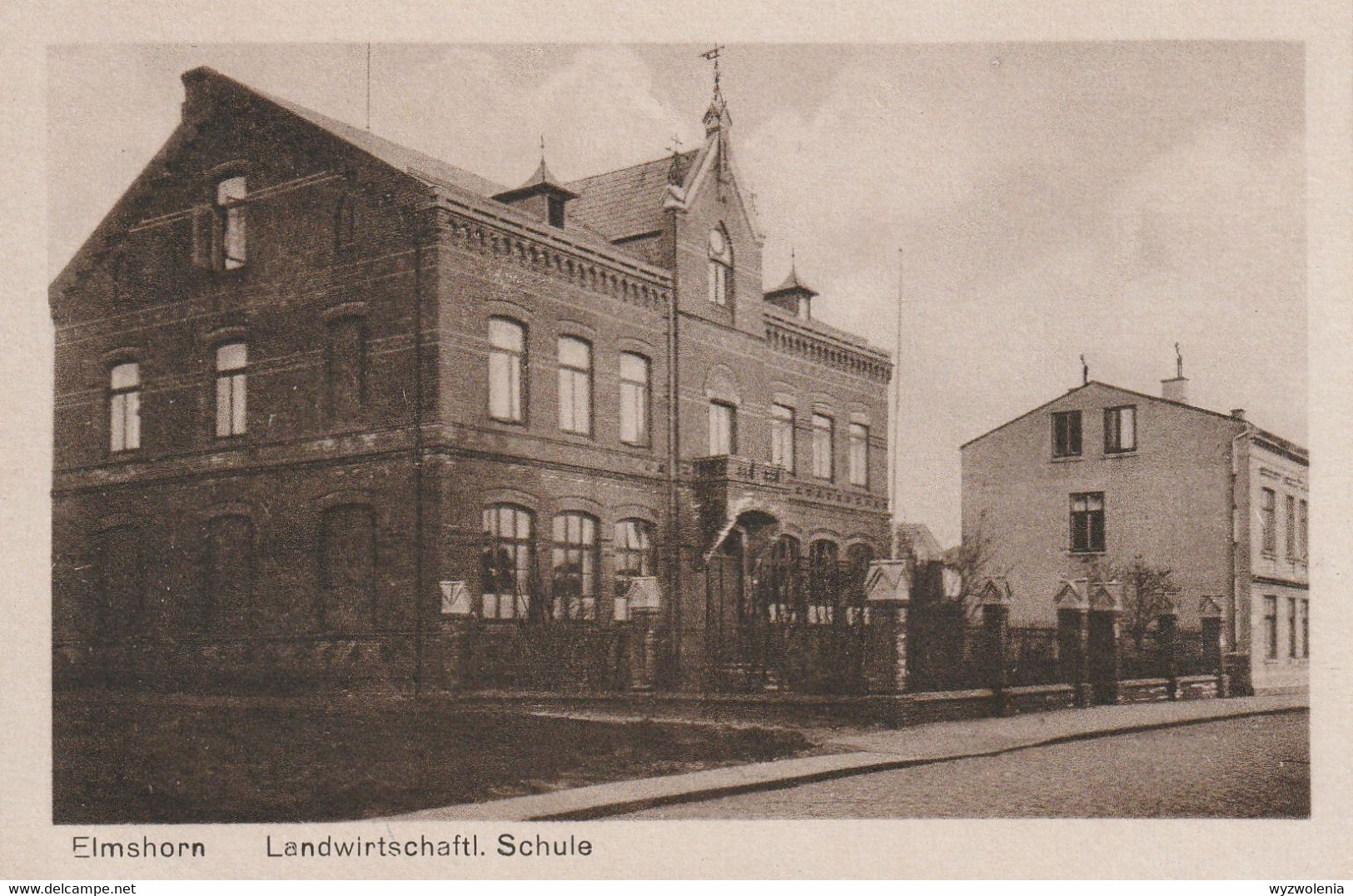 D 120) AK ELMSHORN 1903: Landwirtschaftliche Schule (mit Bäumen Hinter Zaun) - Elmshorn