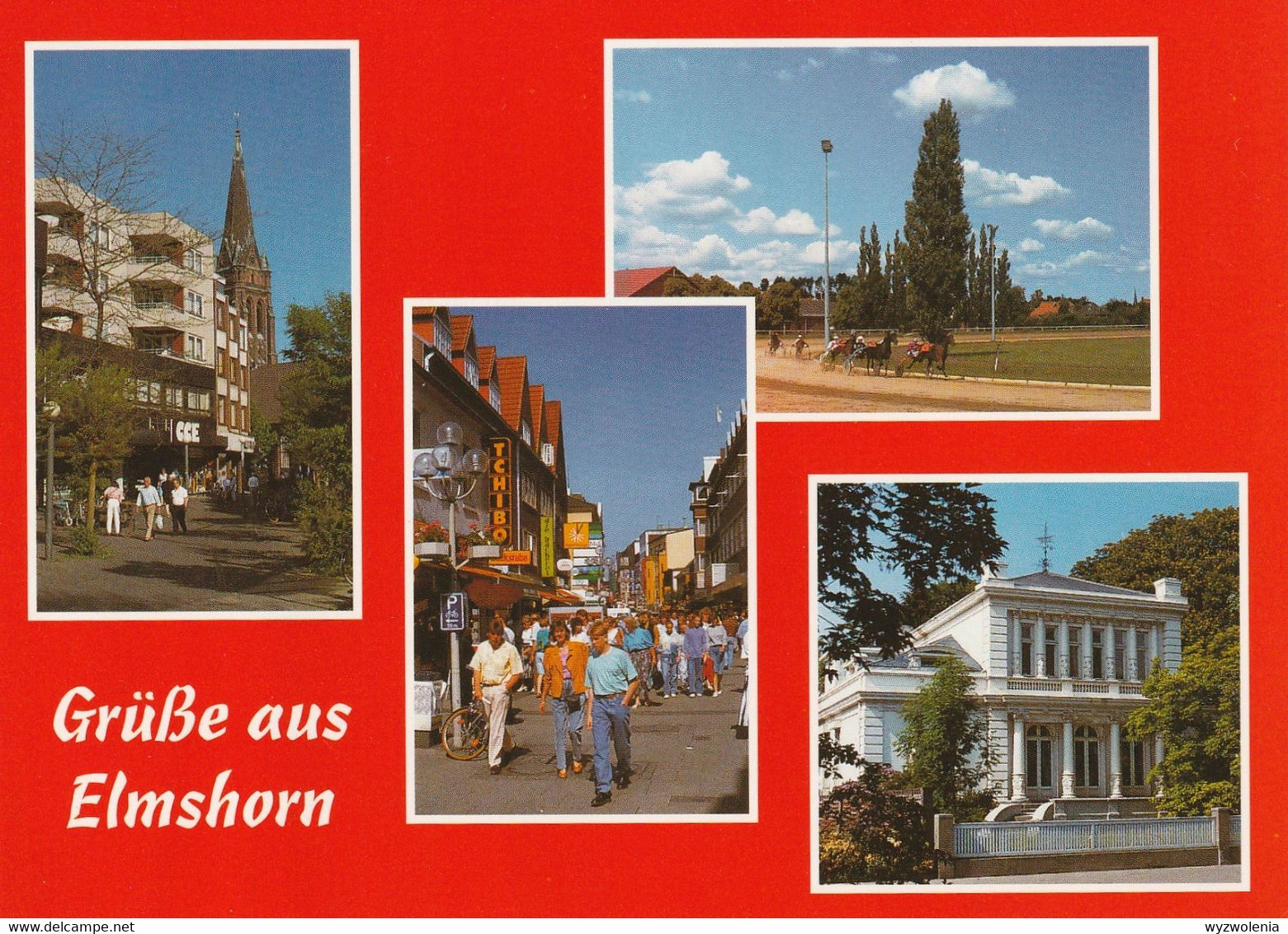 D 113) AK Grüße Aus ELMSHORN, Innenstadt, Rennbahn, Weiße Villa (ungelaufen) - Elmshorn