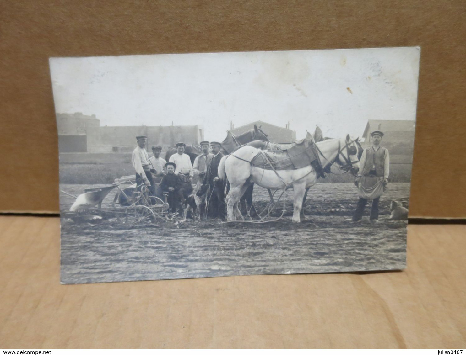 GENEVILLIERS (92) Carte Photo Scène Agricole Plantation Des Asperges Attelage Chevaux Gros Plan - Gennevilliers