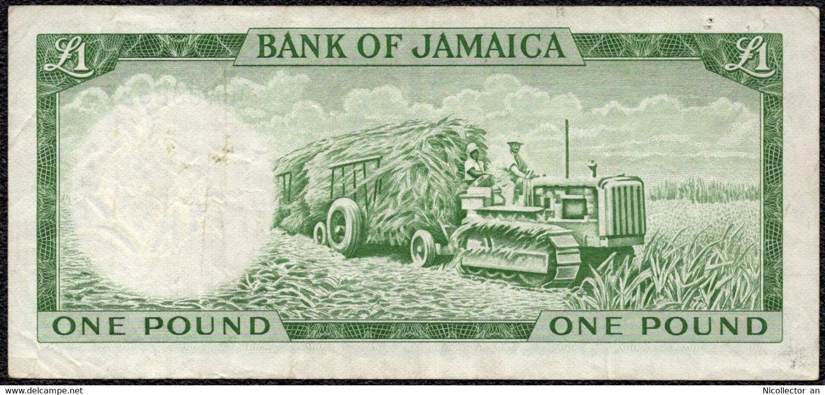 Jamaica 1 Pound 1960 VF+ QEII Banknote - Jamaique