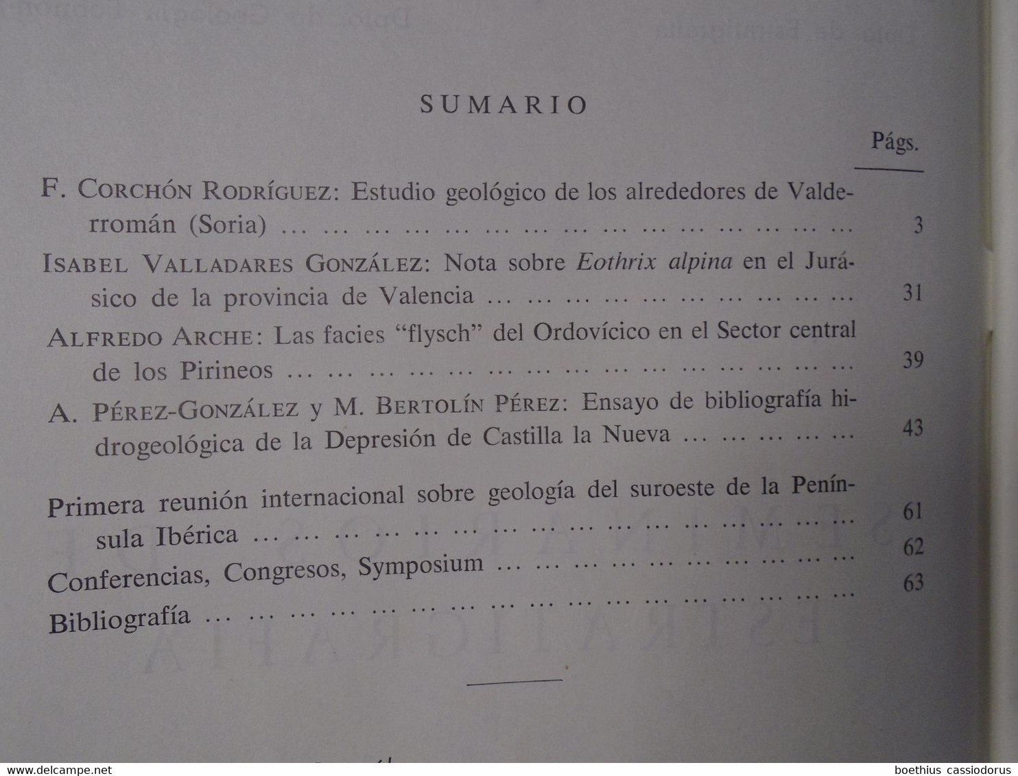 SEMINARIOS DE ESTRATIGRAFIA 1971 CONSEJO SUPERIOR DE INVESTIGACIONES CIENTIFICAS / UNIVERSIDAD DE MADRID - Autres & Non Classés