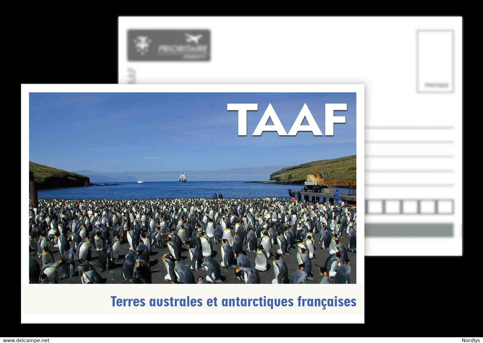 TAAF / French Antarctic Territory / Postcard / View Card - TAAF : Terres Australes Antarctiques Françaises