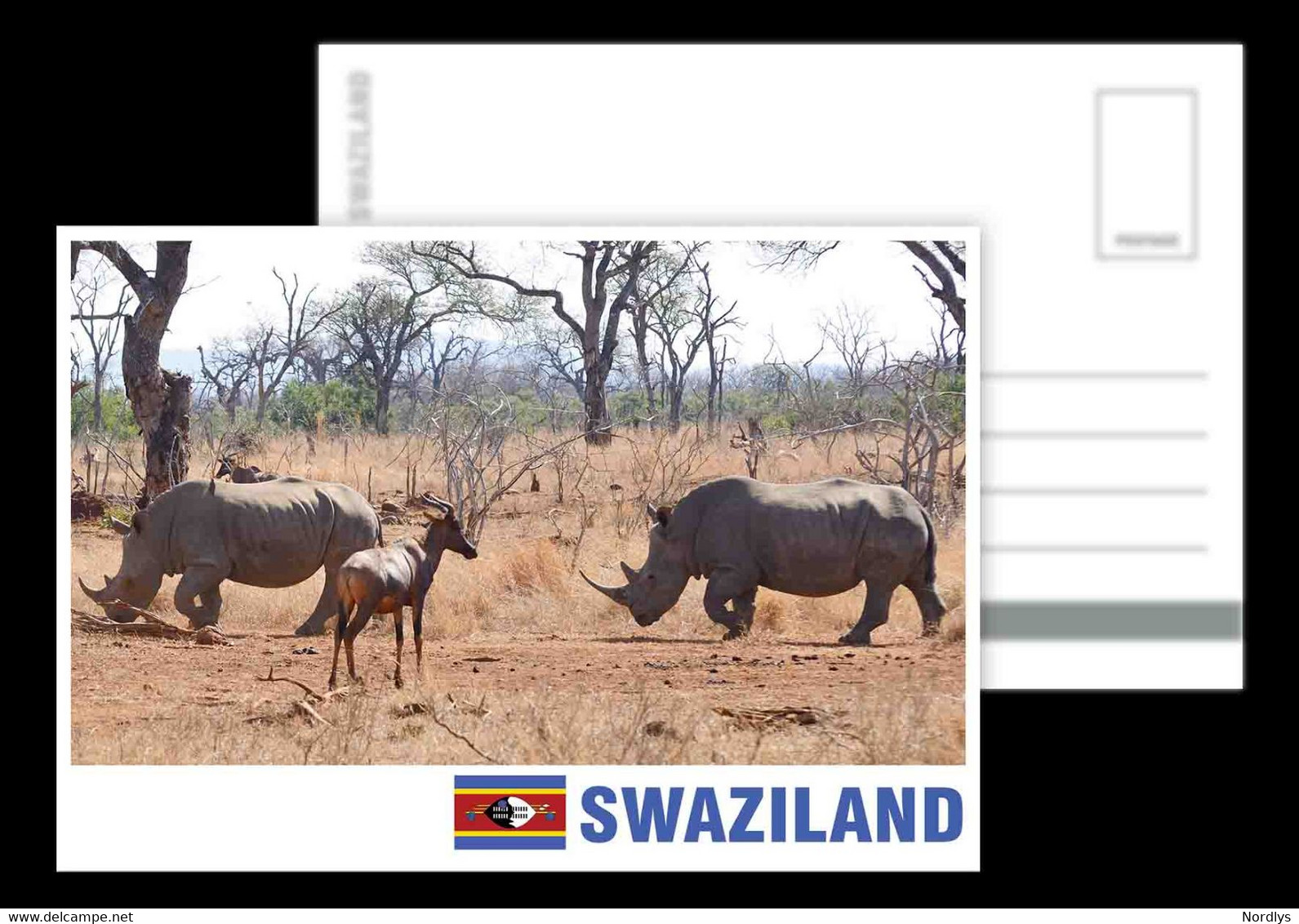 Swaziland / Eswatini / Postcard / View Card - Swasiland