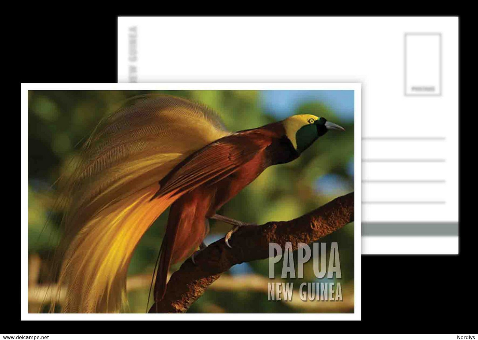 Papua New Guinea / Postcard / View Card - Papouasie-Nouvelle-Guinée