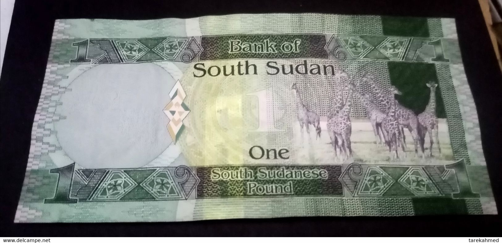 SOUTH SUDAN , 1 POUND , 2011, PICK 5 - Sudan Del Sud