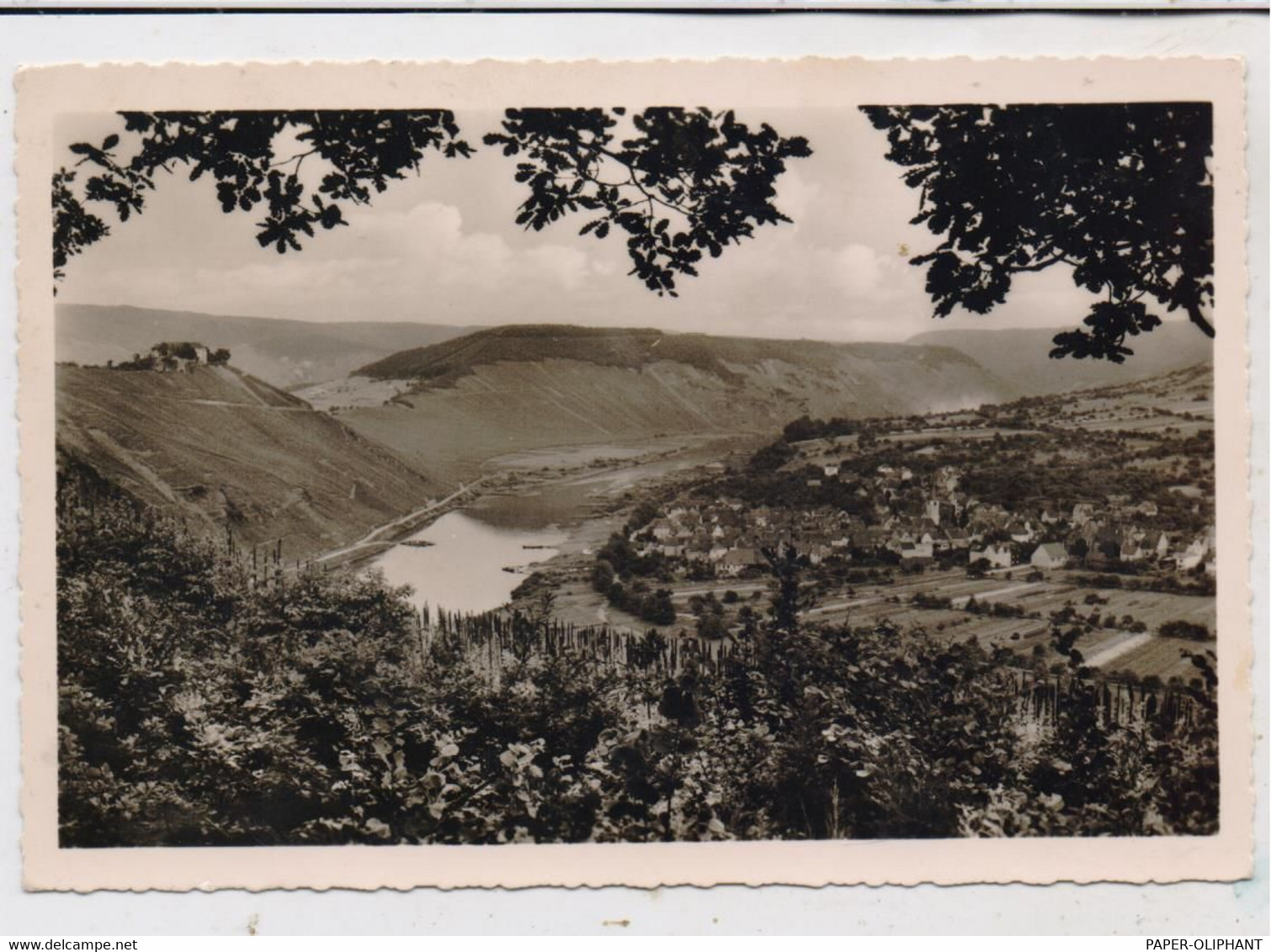 5583 ZELL - PÜNDERICH Und Die Marienburg, Bick Aus Den Weinstöcken über Die Mosel - Zell