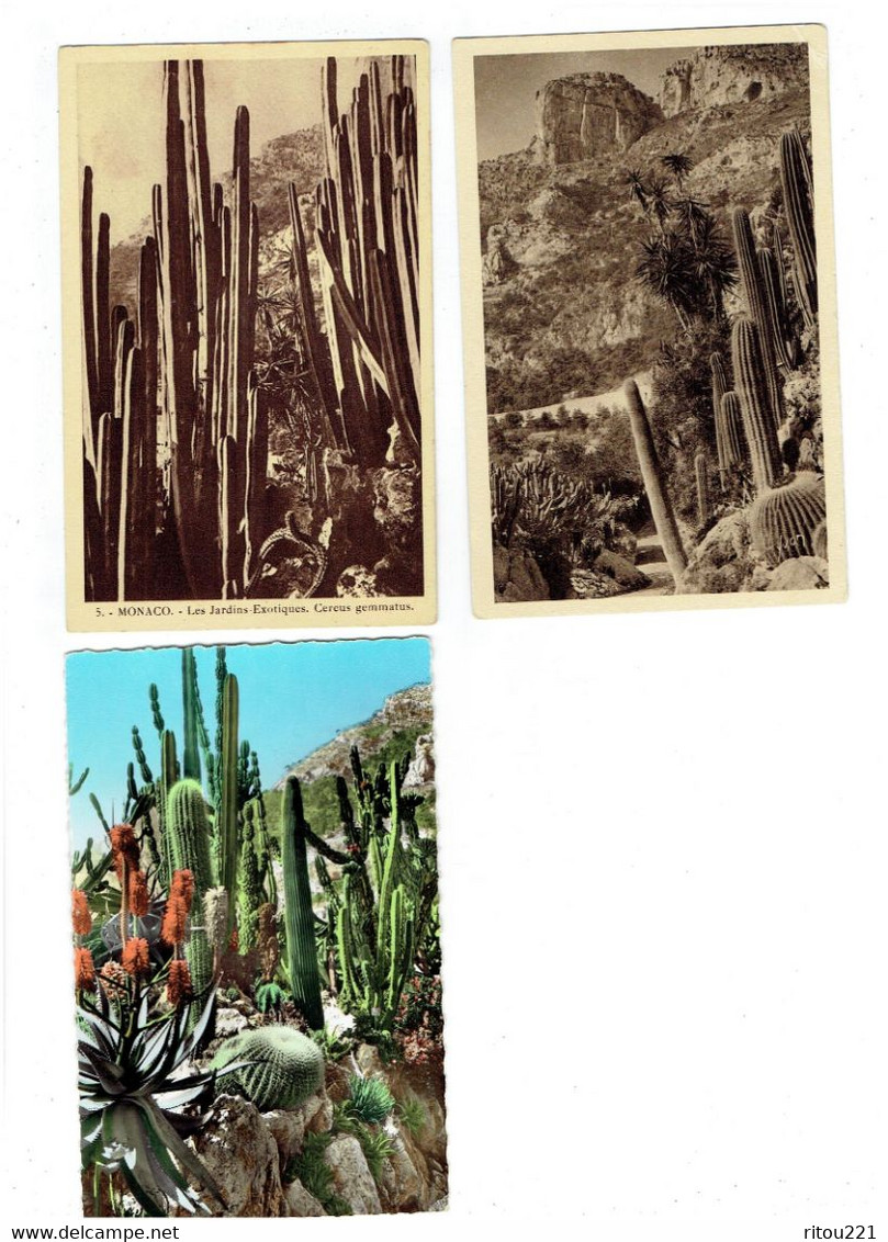 Lot 3 Cpa - MONACO - Jardin Exotique - ROCHER - Cactus - Coussin De Belle-mère - - Cactussen