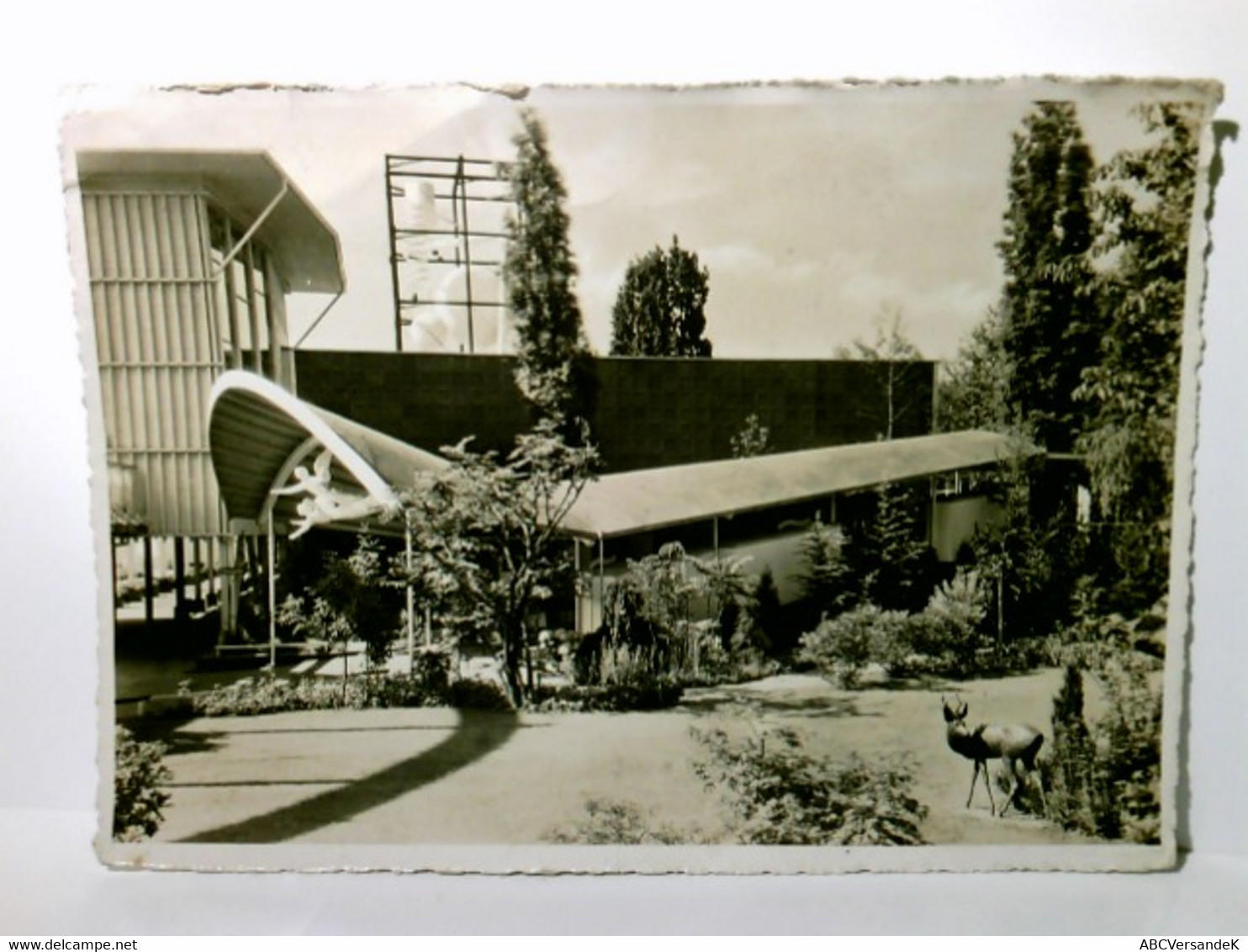 Schweizerische Landesausstellung 1939 In Zürich. Eingang Zum Kinderparadies. Schweiz. Alte Ansichtskarte / Pos - Risch-Rotkreuz
