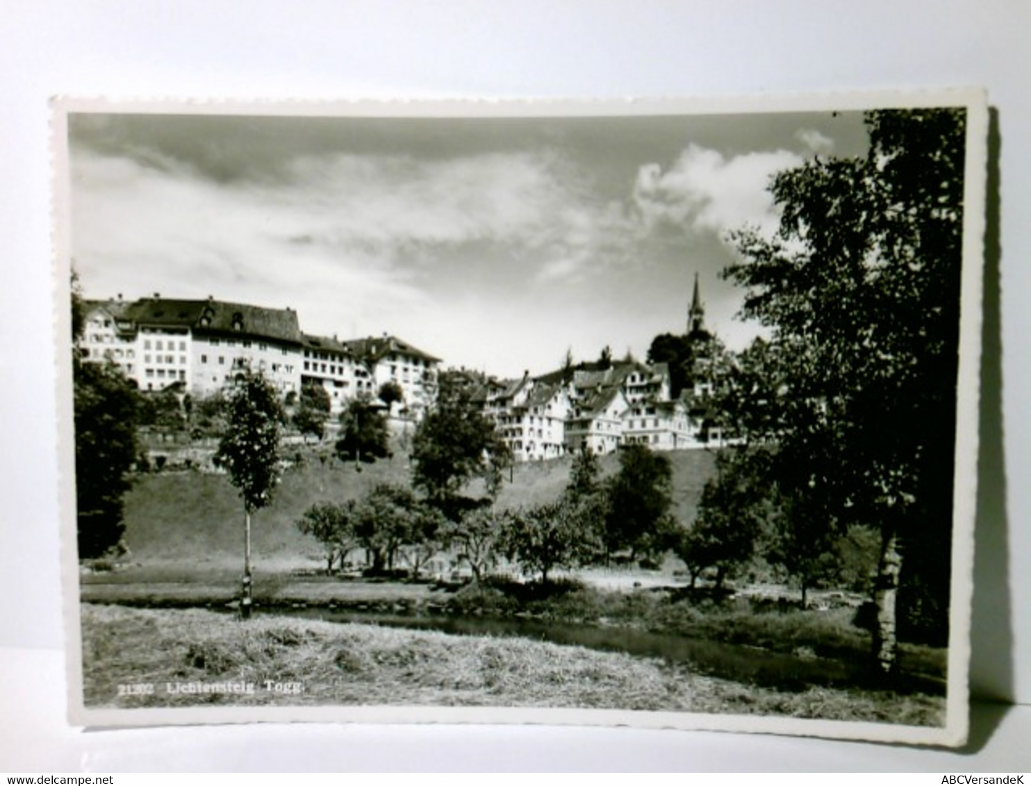 Lichtensteig. Togg. Schweiz. Alte Ansichtskarte / Postkarte S/w, Gel. 1963. Blick Auf Den Ort. - Lichtensteig