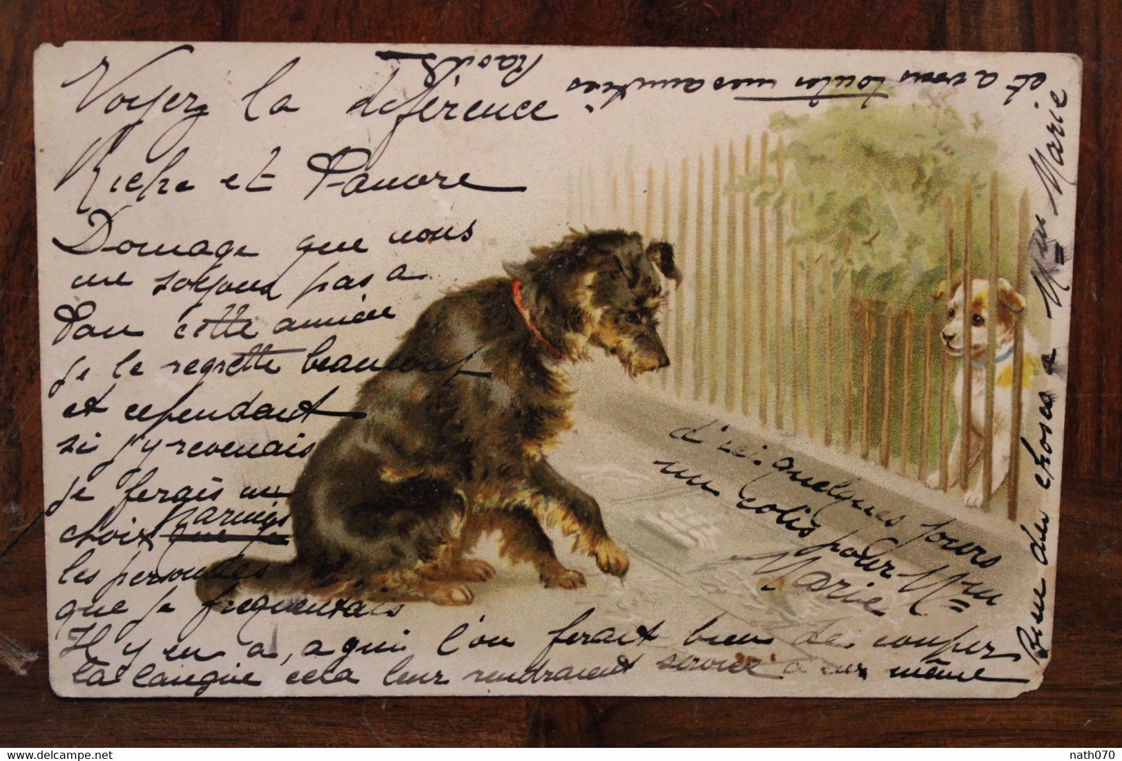 AK 1903 Animaux Chiens Lithos Cpa - Cani