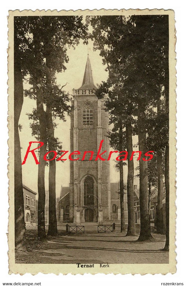 Ternat Kerk Sint-Gertrudiskerk Pajottenland  (in Goede Staat) - Ternat