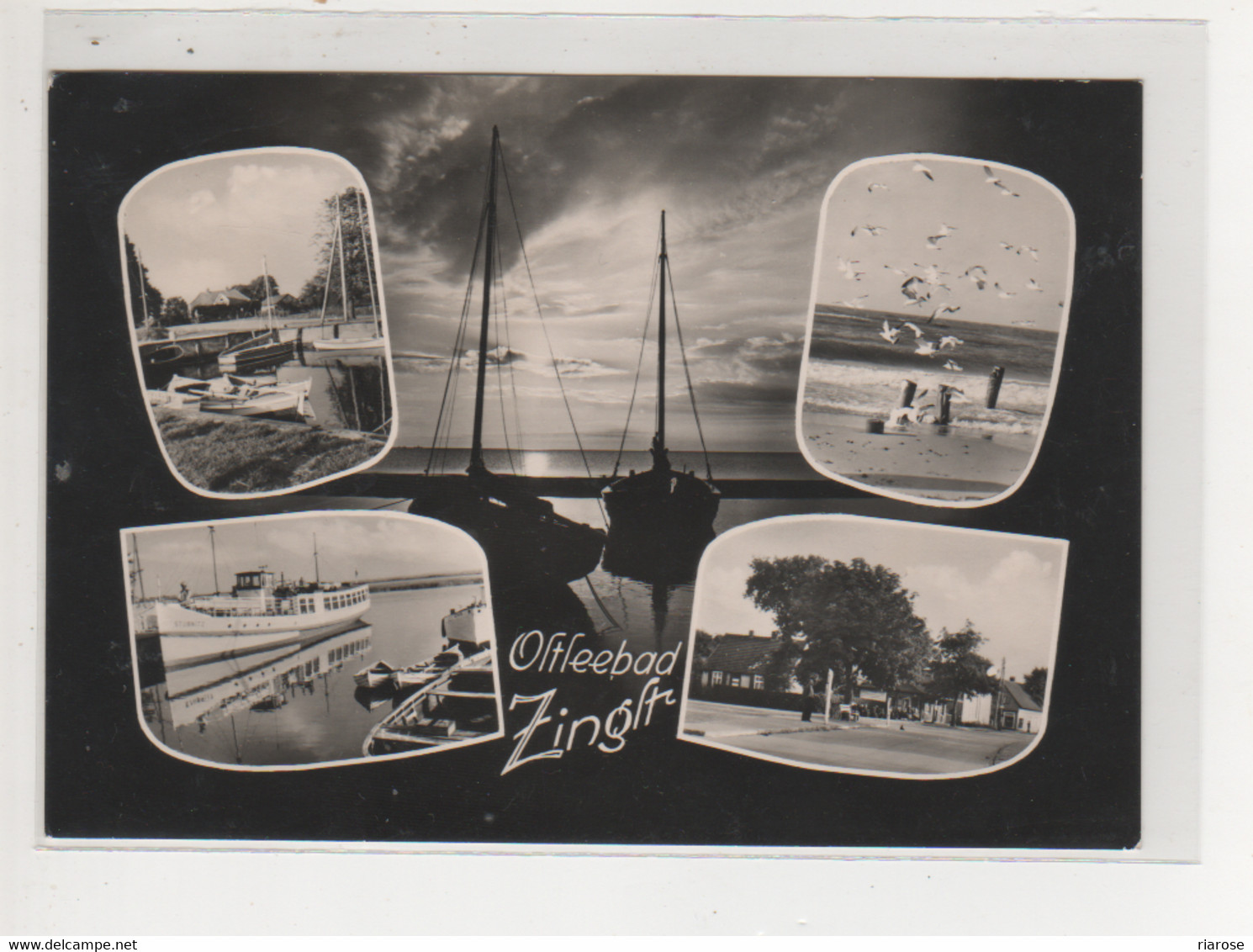 Antike Postkarte -    ZINGST / RÜGEN  DDR 1961 - Zingst