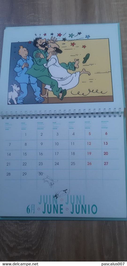 B01-418 Livre Calendrier Agenda 1999 Hergé Tintin Les 7 Boules de Cristal Moulinsart 1998