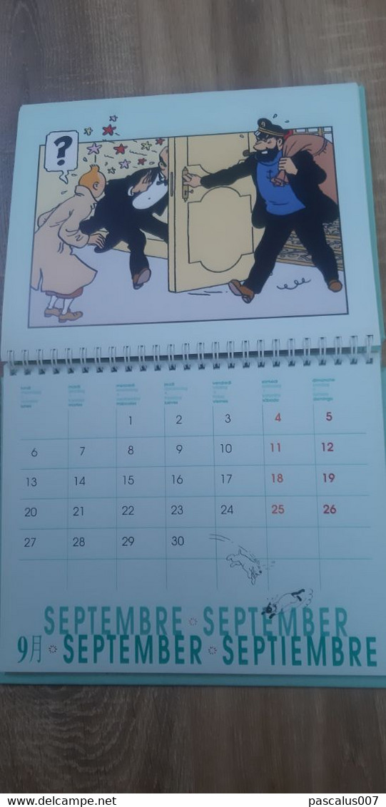 B01-418 Livre Calendrier Agenda 1999 Hergé Tintin Les 7 Boules de Cristal Moulinsart 1998