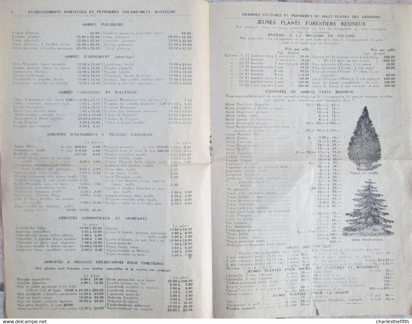GRANDE BROCHURE / CATALOGUE 1928 - BASTOGNE - CATALOGUE DES PEPINIERES AVEC PRIX - ARBRES FRUITIERS ETC - 8 Pages - Advertising