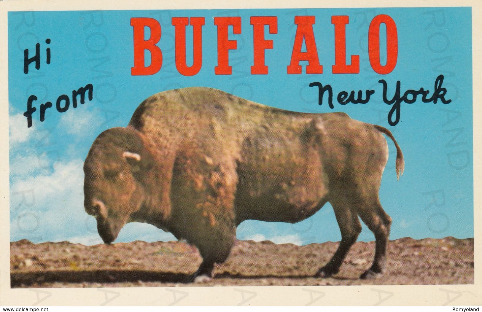 CARTOLINA  BUFFALO,NEW YORK,STATI UNITI,HI FROM BUFFALO-NEW YORK-NON VIAGGIATA - Buffalo