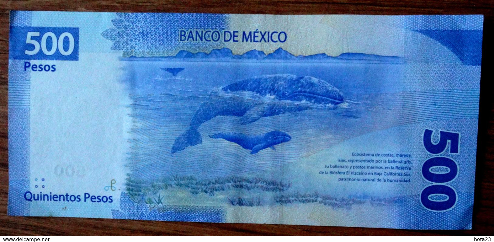 (!)  Mexico, 500 Pesos, 2021 XF PREFIX - GZ - SEA   ANIMAL DOLPHIN - Mexico