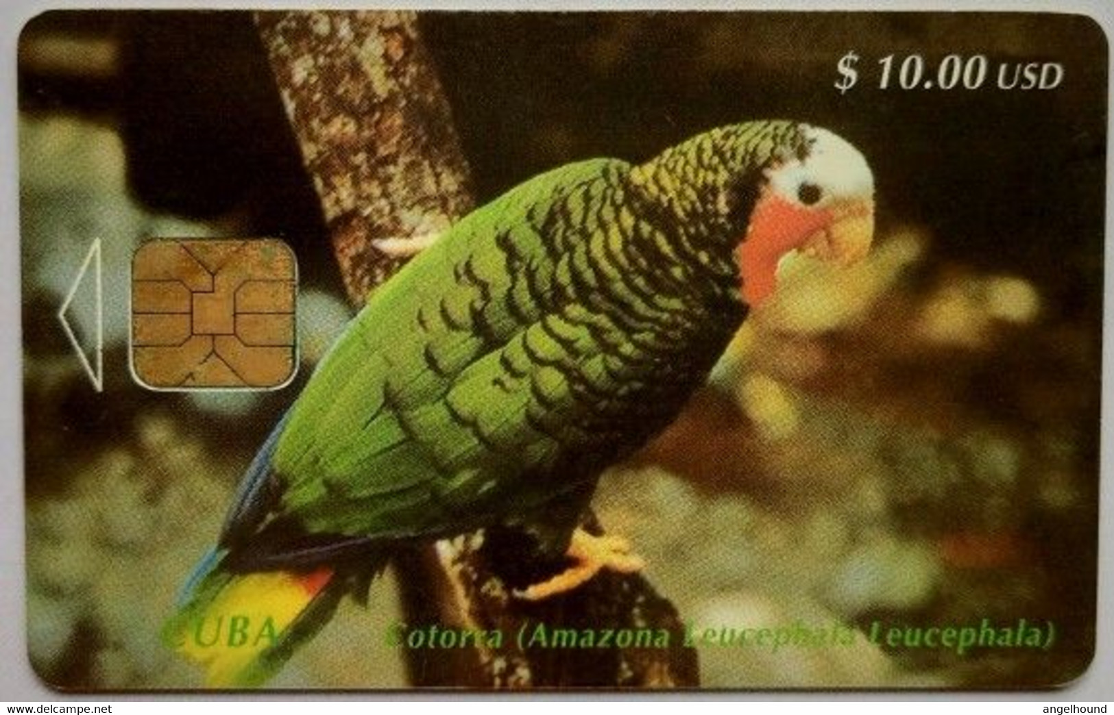 Cuba $10.00 USD " Cotorra - Cuban Parrot ( Amazona Leucocephala  ( 1st Edition ) " - Cuba
