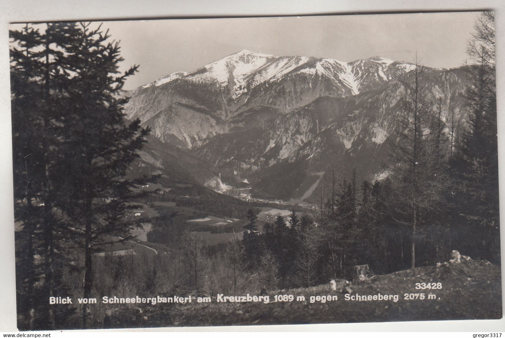 C5465) Blick Vom SCHNEEBERGBANKERL Am KREUZBERG Gegen Schneeberg - ALT S/W 1949 - Schneeberggebiet