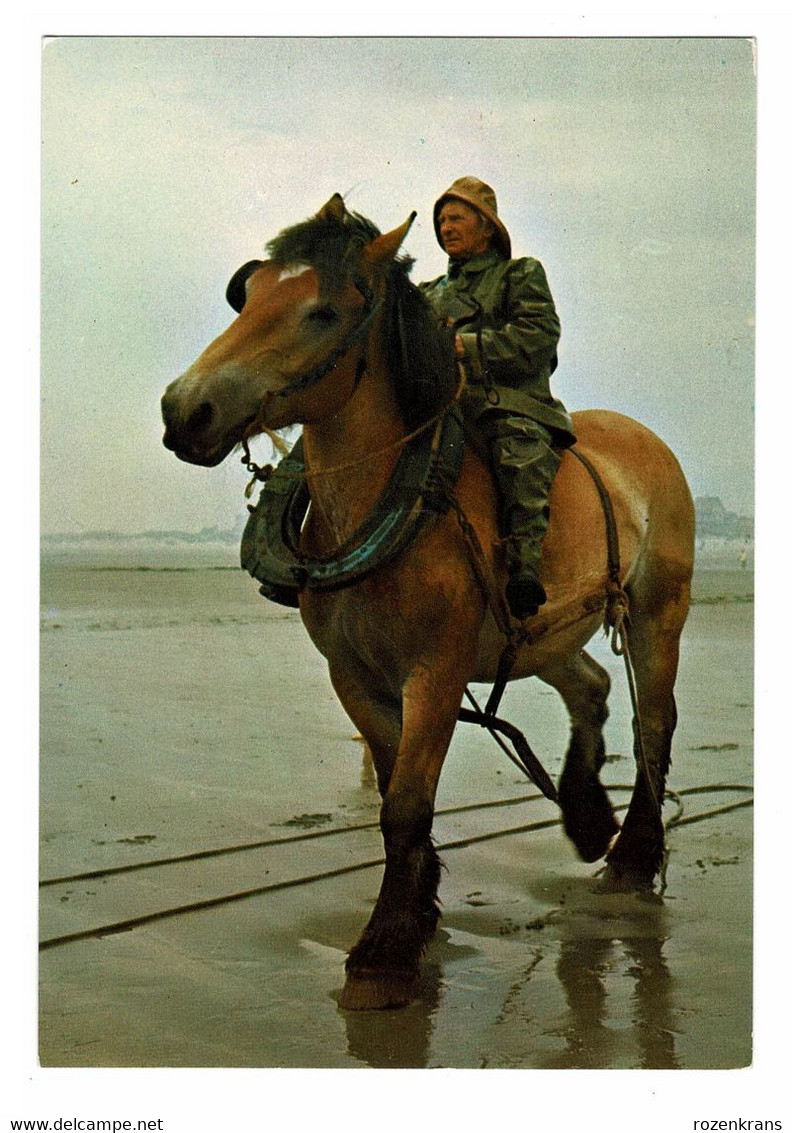 Grote Kaart Grand Format Garnaalvisser Te Paard Paardenvisser Oostduinkerke Paard Cheval - Koksijde