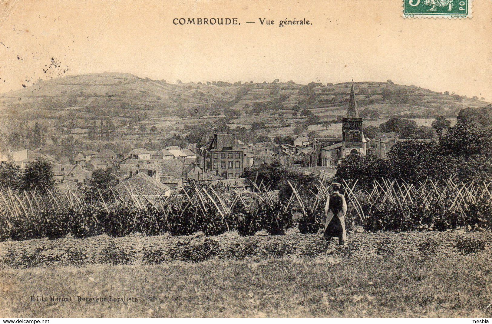 CPA -  COMBRONDE  (63)   Vue Générale - Combronde