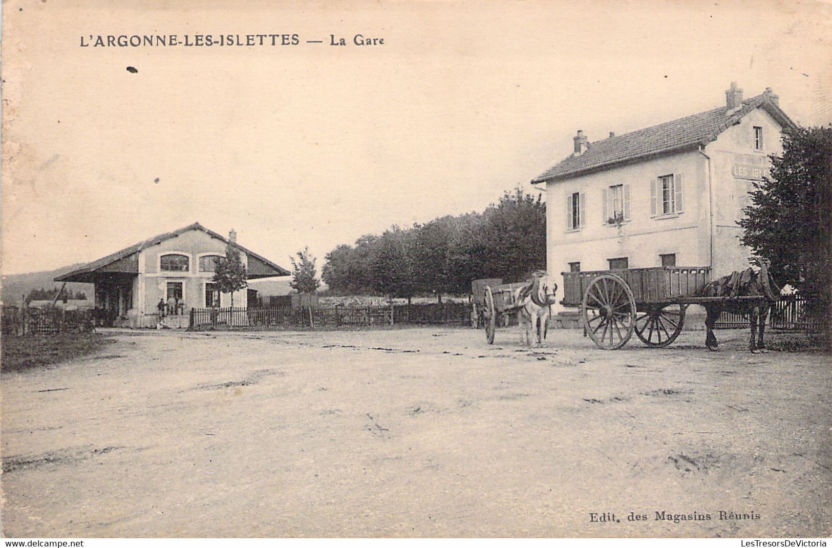 FRANCE - 55 - L'ARGONNE LES ISLETTES - La Gare - Magasins Réunis - Carte Postale Ancienne - Autres & Non Classés