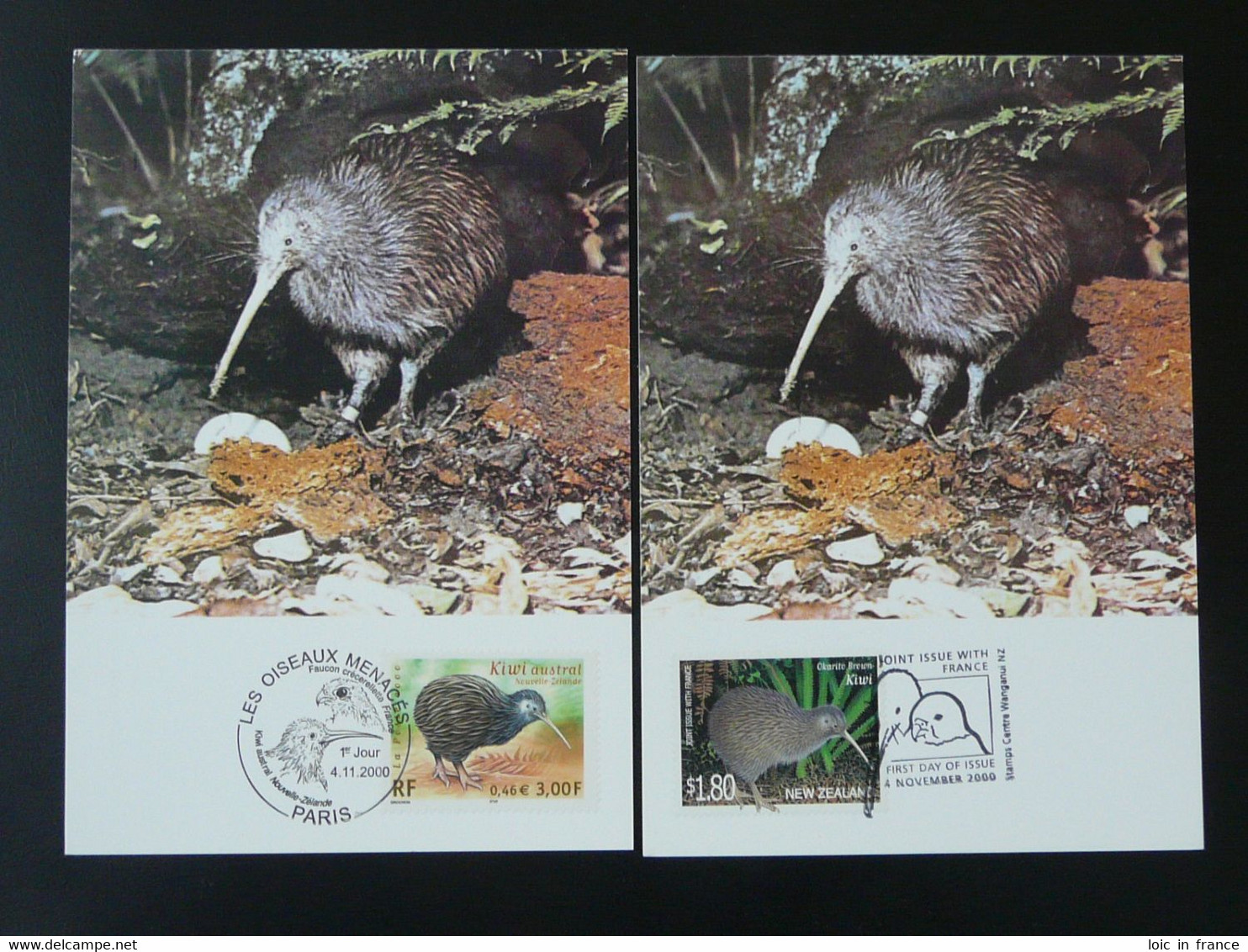 Carte Maximum Card (x2) Oiseau Bird Kiwi émission Commune Joint Issue France - New Zealand 2000 Ref 101676 - Kiwi's