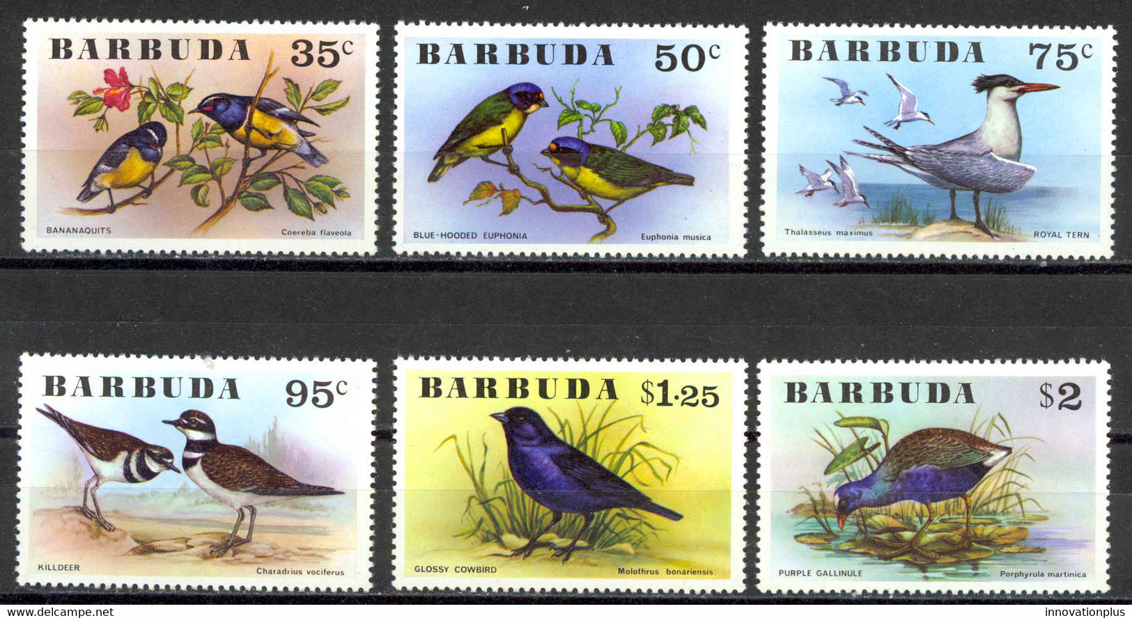 Barbuda Sc# 238-243 MNH 1976 Birds - Barbuda (...-1981)