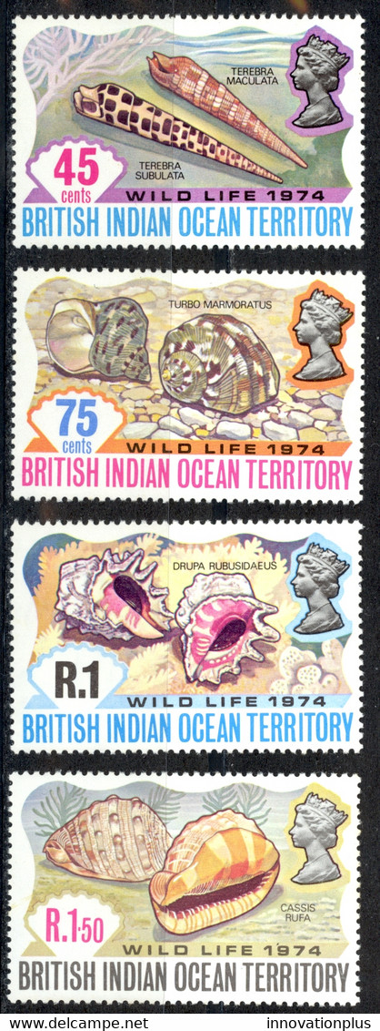 British Indian Ocean Territory Sc# 59-62 MNH 1974 Sea Shells - Territorio Británico Del Océano Índico