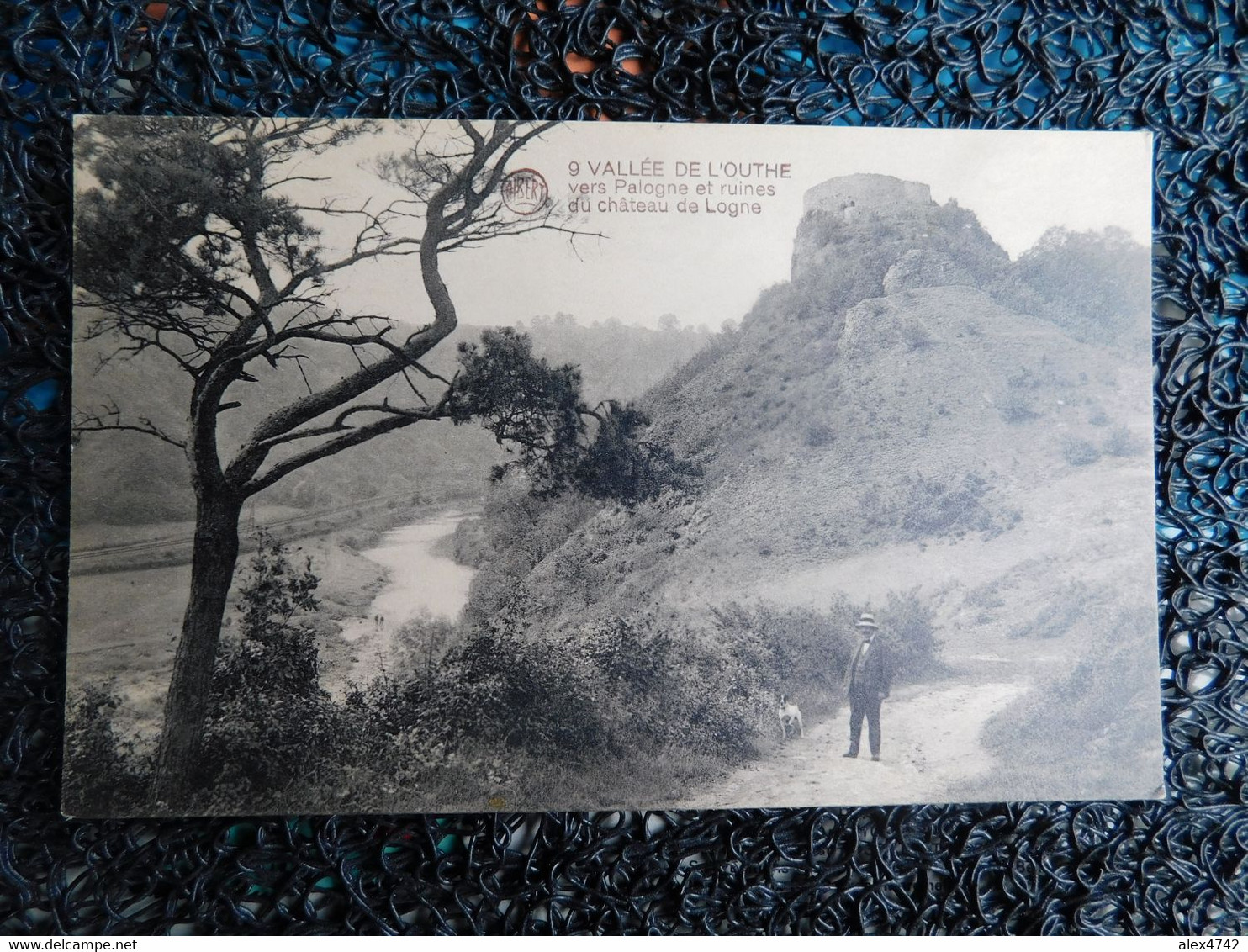 Vallée De L'Ourthe, Vers Palogne Et Ruines Du Château De Logne  (W16) - Ferrières