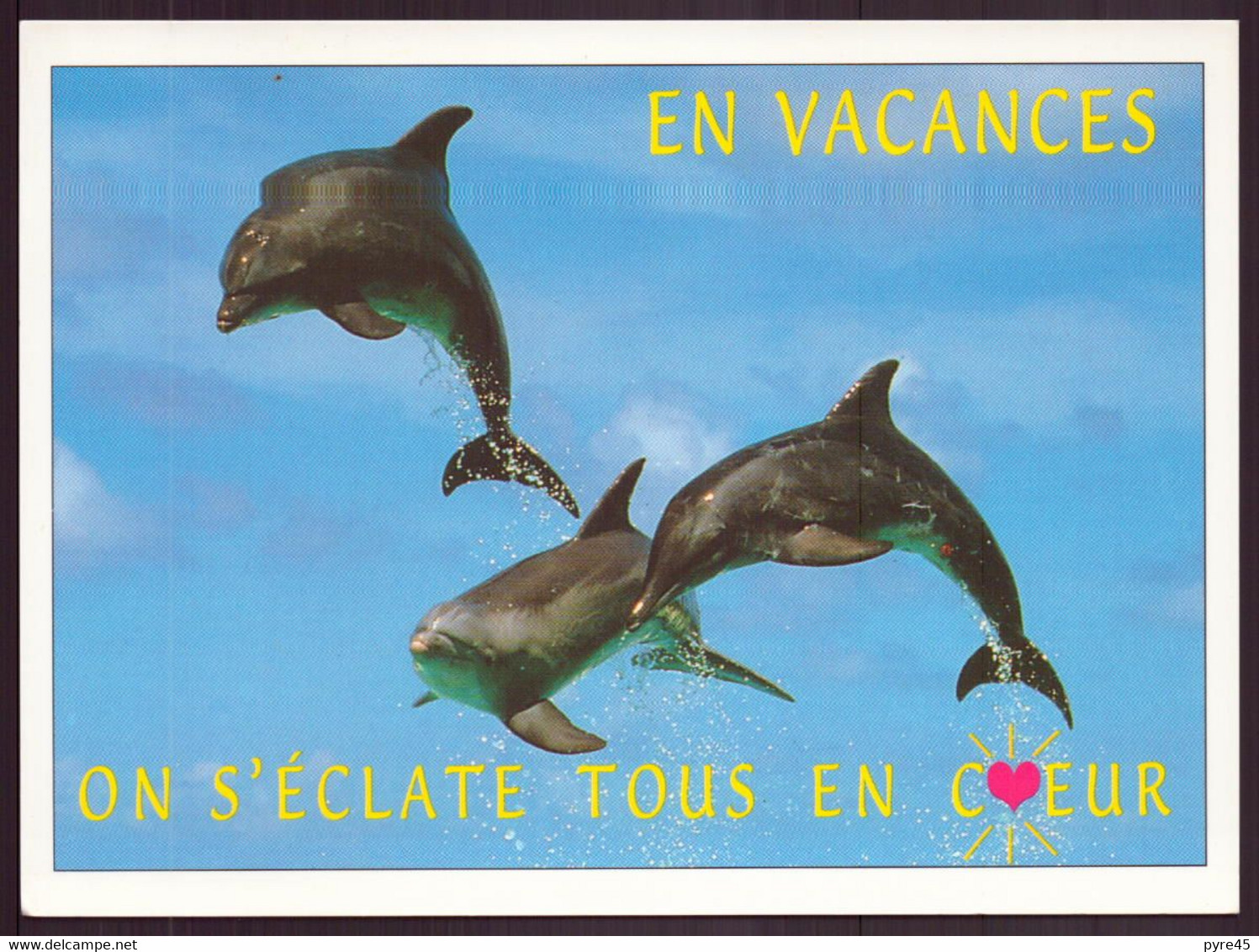 DAUPHINS EN VACANCES ON S ECLATE TOUS EN COEUR - Dauphins