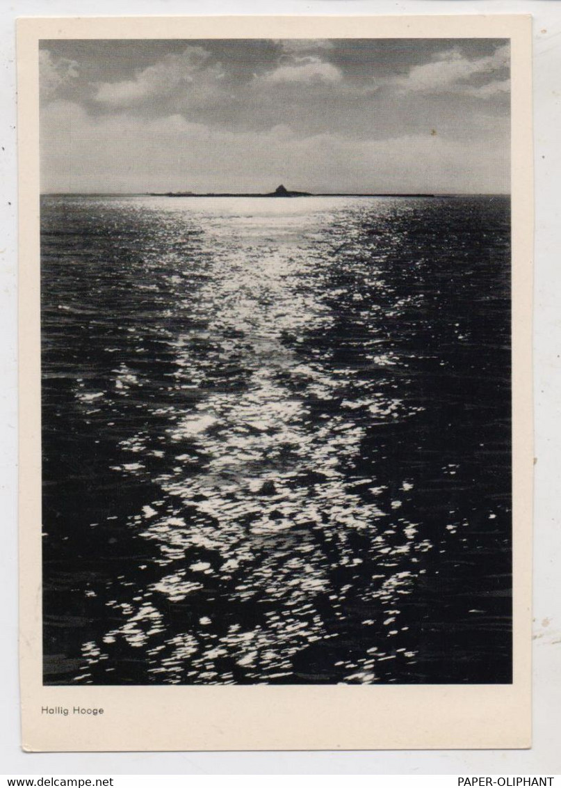 2251 HALLIG HOOGE, Blick über Das Wasser - Halligen