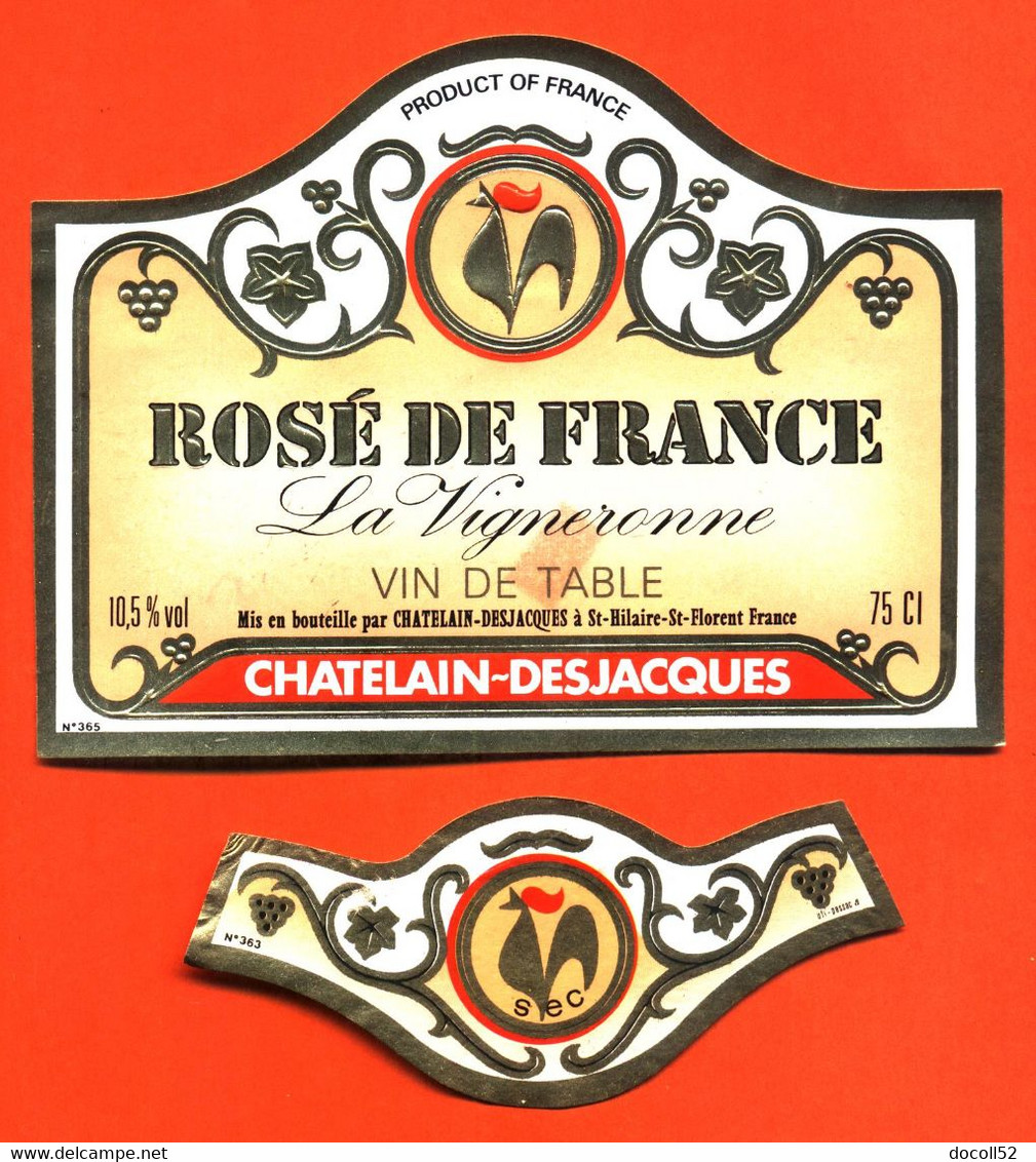 Etiquette + Collerette Neuve De Vin Rosé De France La Vigneronne Chatelain à Saint Hilaire Saint Florent - 75 Cl - Pink Wines