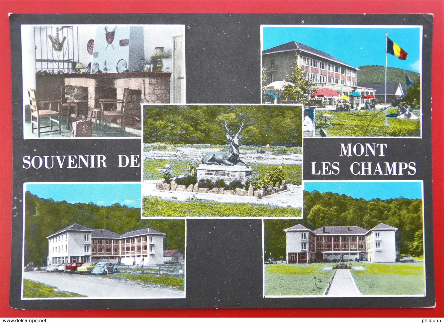 Cpsm BOHAN SUR SEMOIS Multivues Souvenir De Centre De Vacances De MONT LES CHAMPS - Vresse-sur-Semois