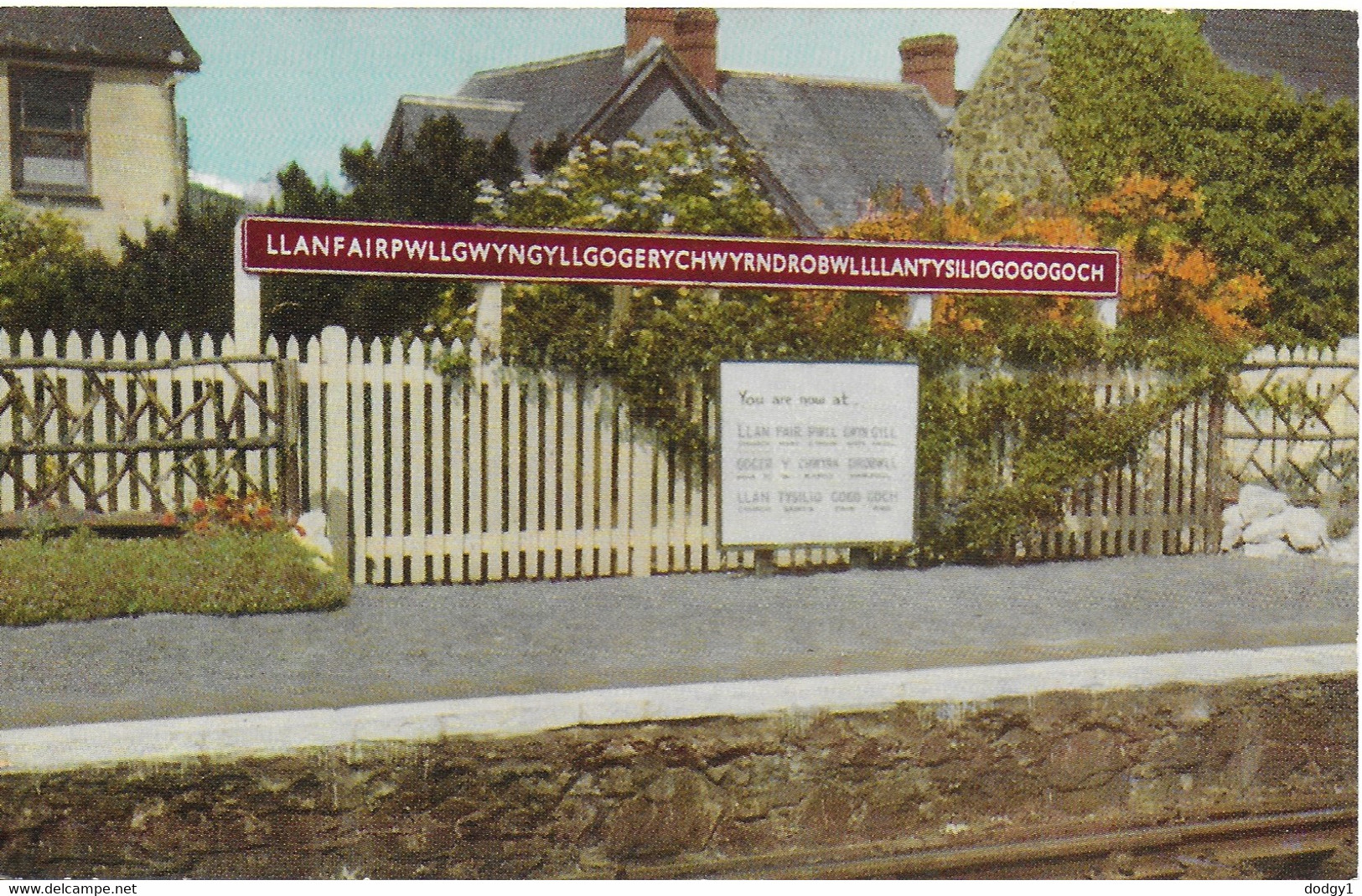 THE STATION, LLANFAIRPWLLGWYNGYLL, ANGLESEY, WALES. UNUSED POSTCARD   Ty2 - Anglesey