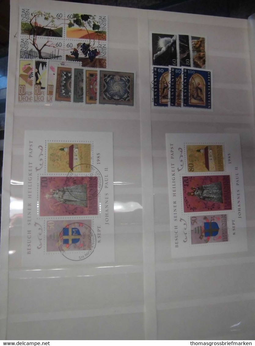 Sammlung FL Liechtenstein aus 1960-1994 postfrisch in Borek + viele Extra (80097