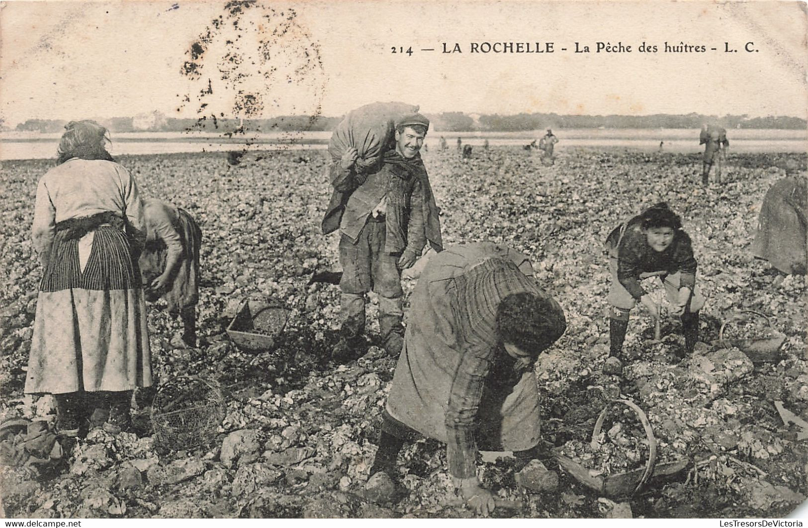 France - La Rochelle - La Pêche Des Huitres - L.C. - Animé - Oblitéré Boulogne 1908 - Carte Postale Ancienne - La Rochelle